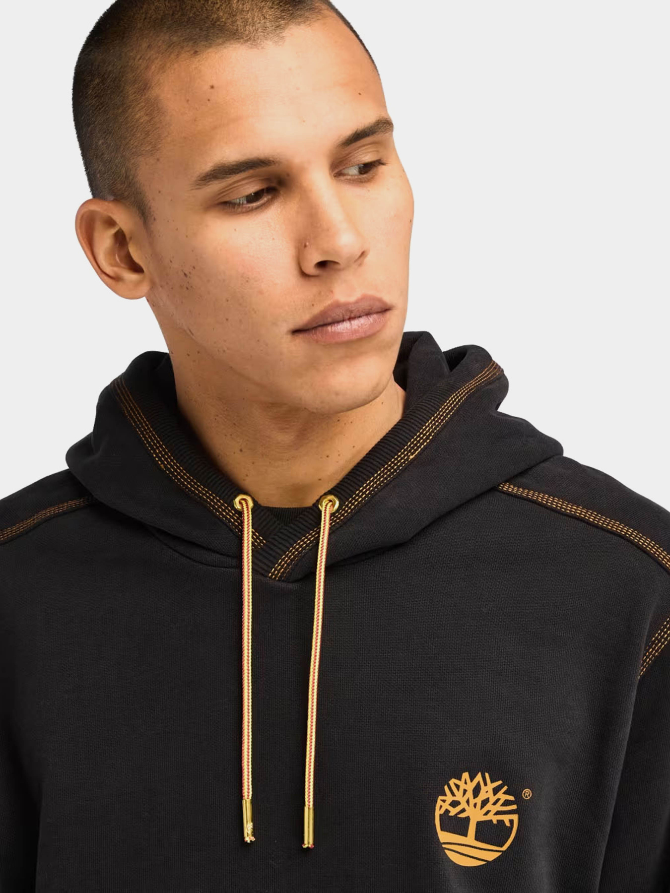 Худи и свитшоты Timberland Contrast Stitch Logo модель TB0A6VEA001 Фото
