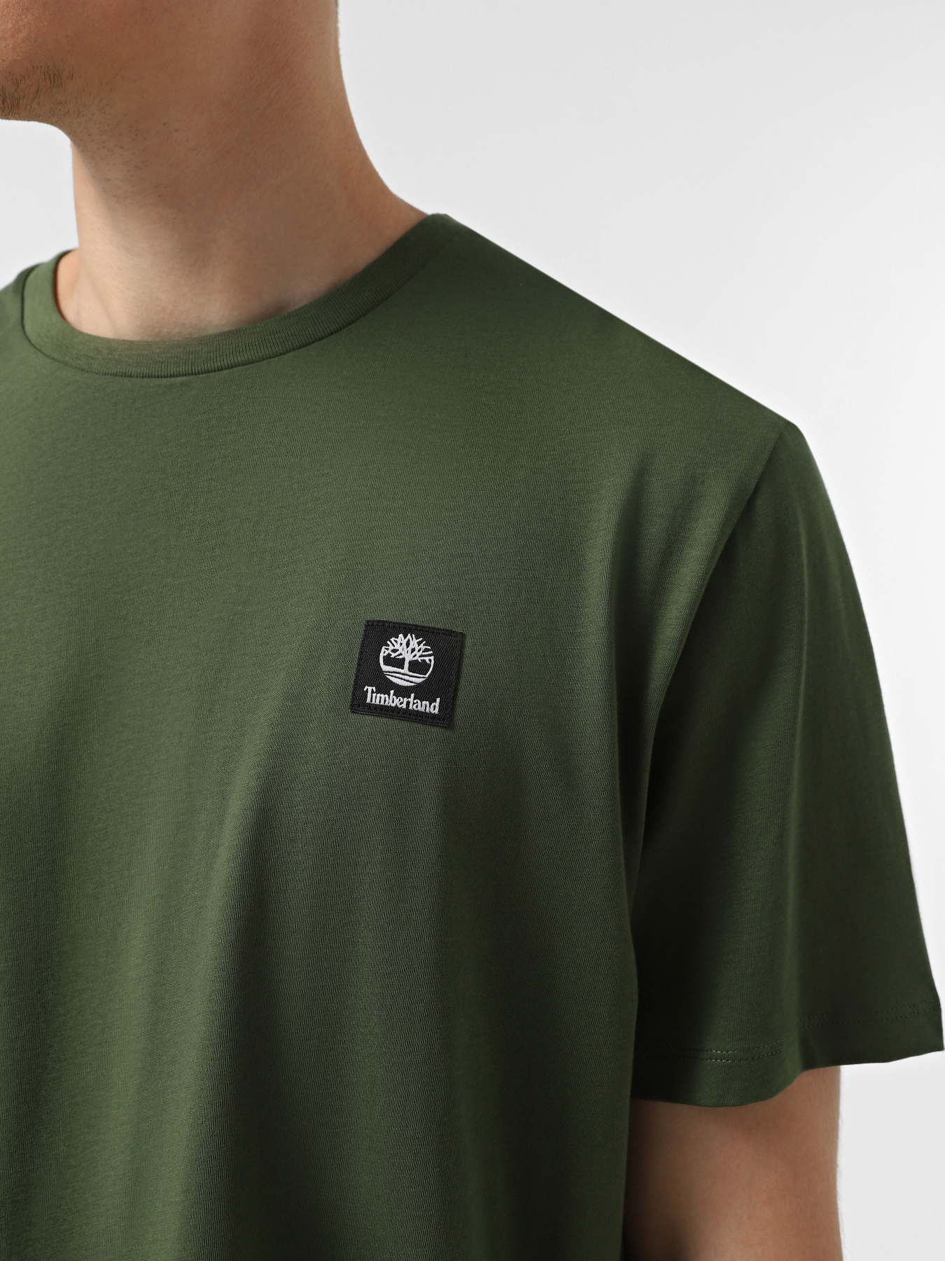 Футболки і поло Timberland Woven Badge модель TB0A5RCEEIN Фото