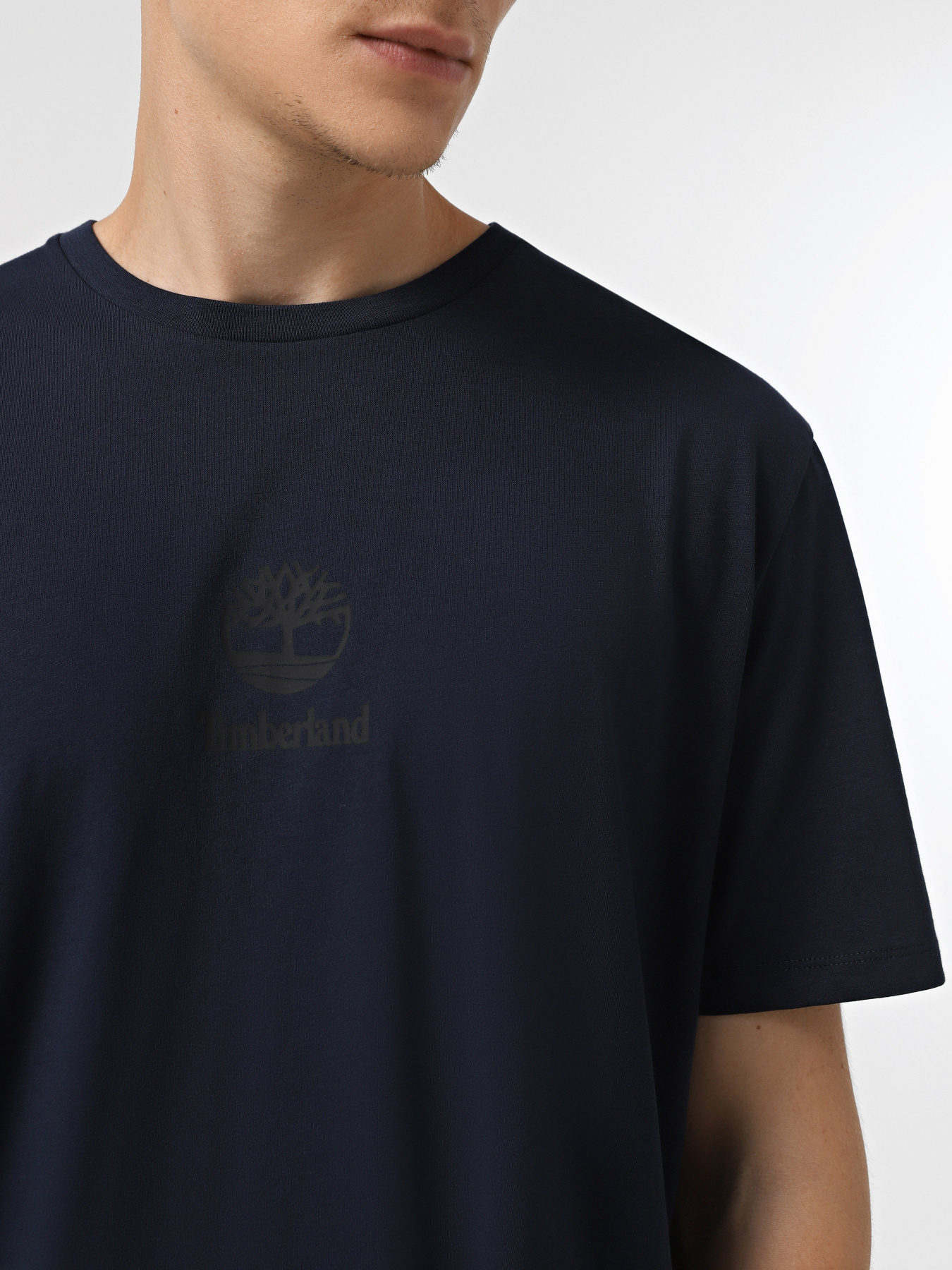 Футболки і поло Timberland Print Stack Logo модель TB0A6WWT433 Фото