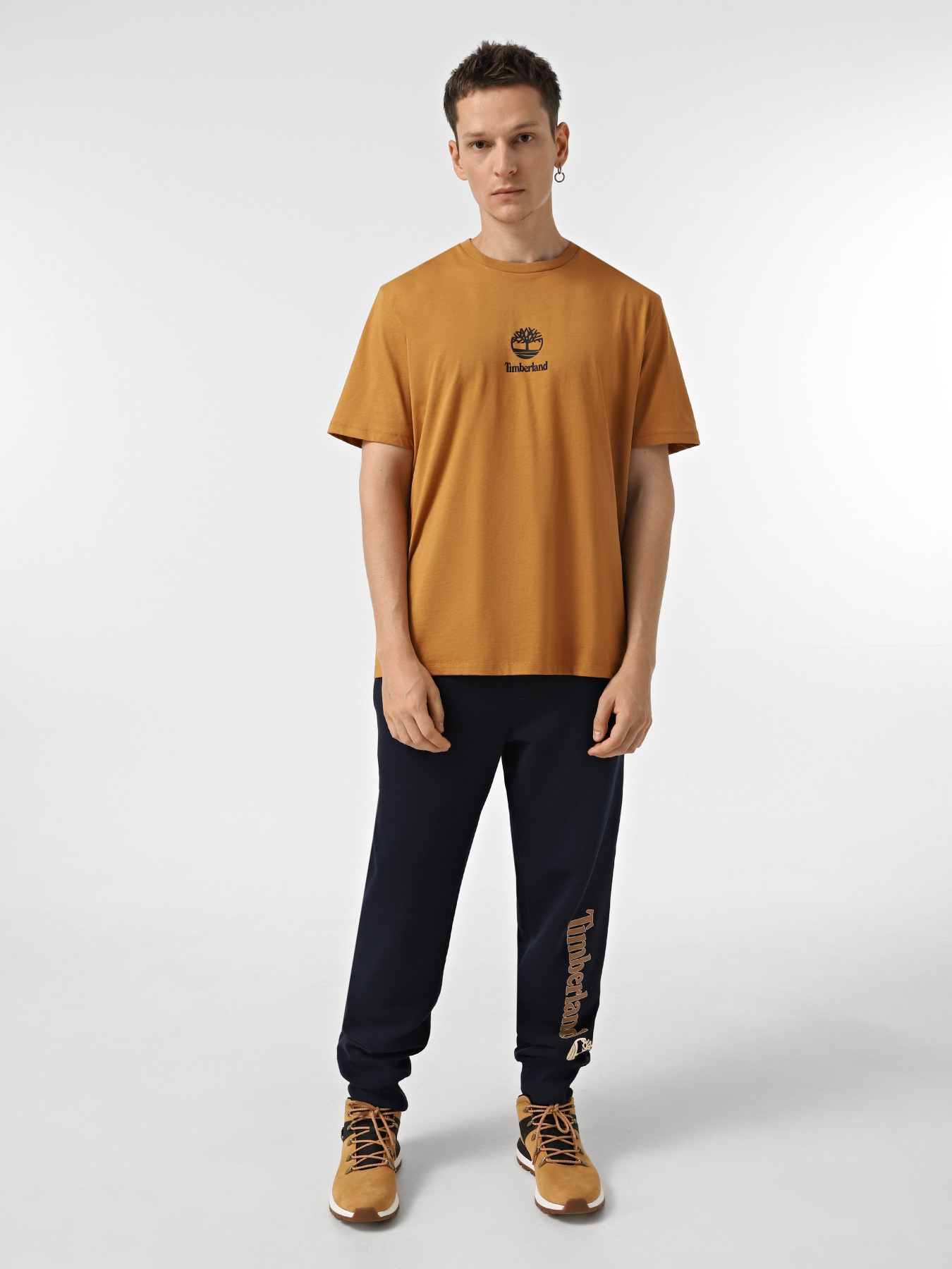 Футболки і поло Timberland Print Stack Logo модель TB0A6WWTP47 Фото