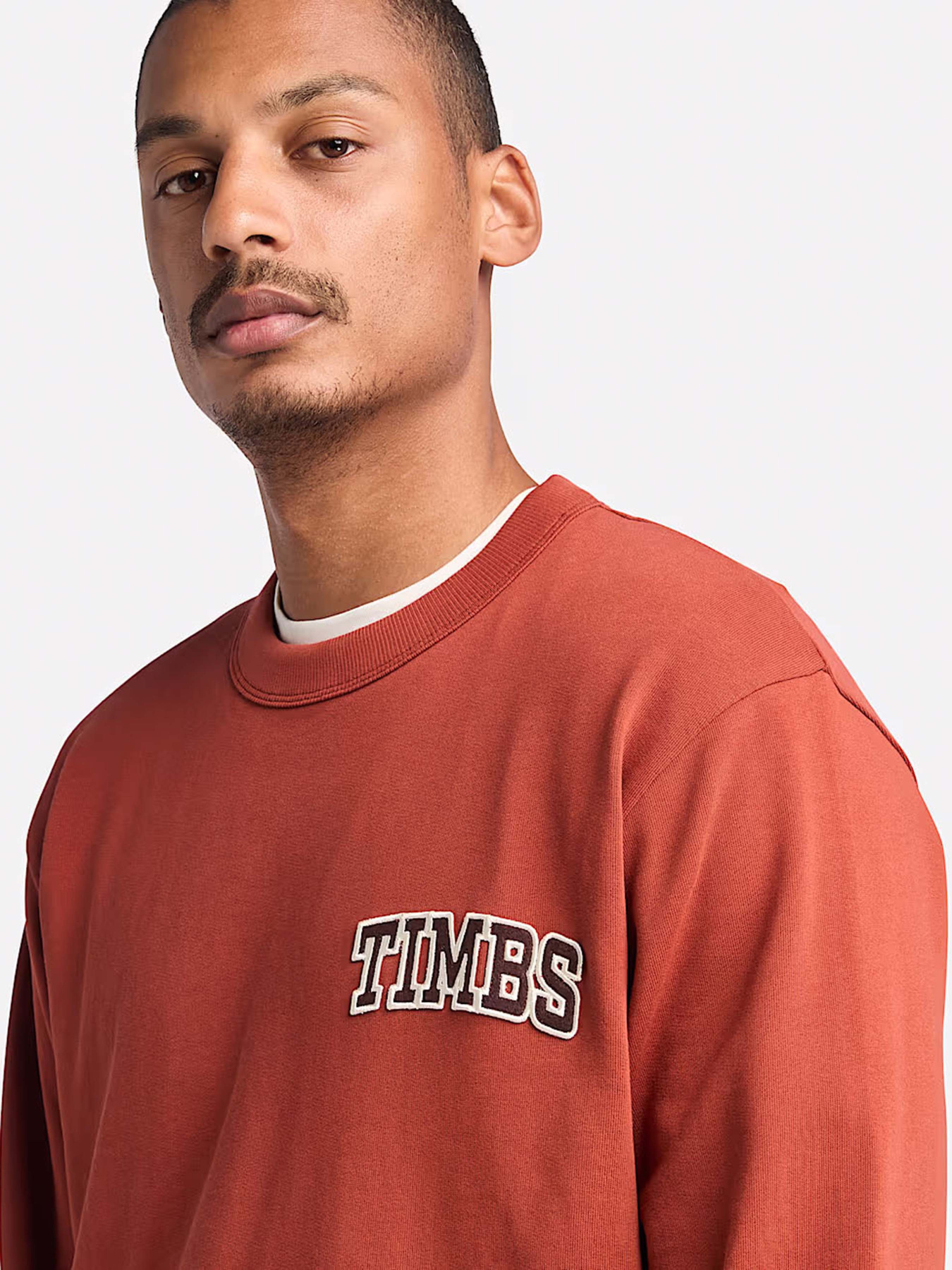 Худи и свитшоты Timberland TIMBS Graphic Crewneck модель TB0A6GPQEOD Фото