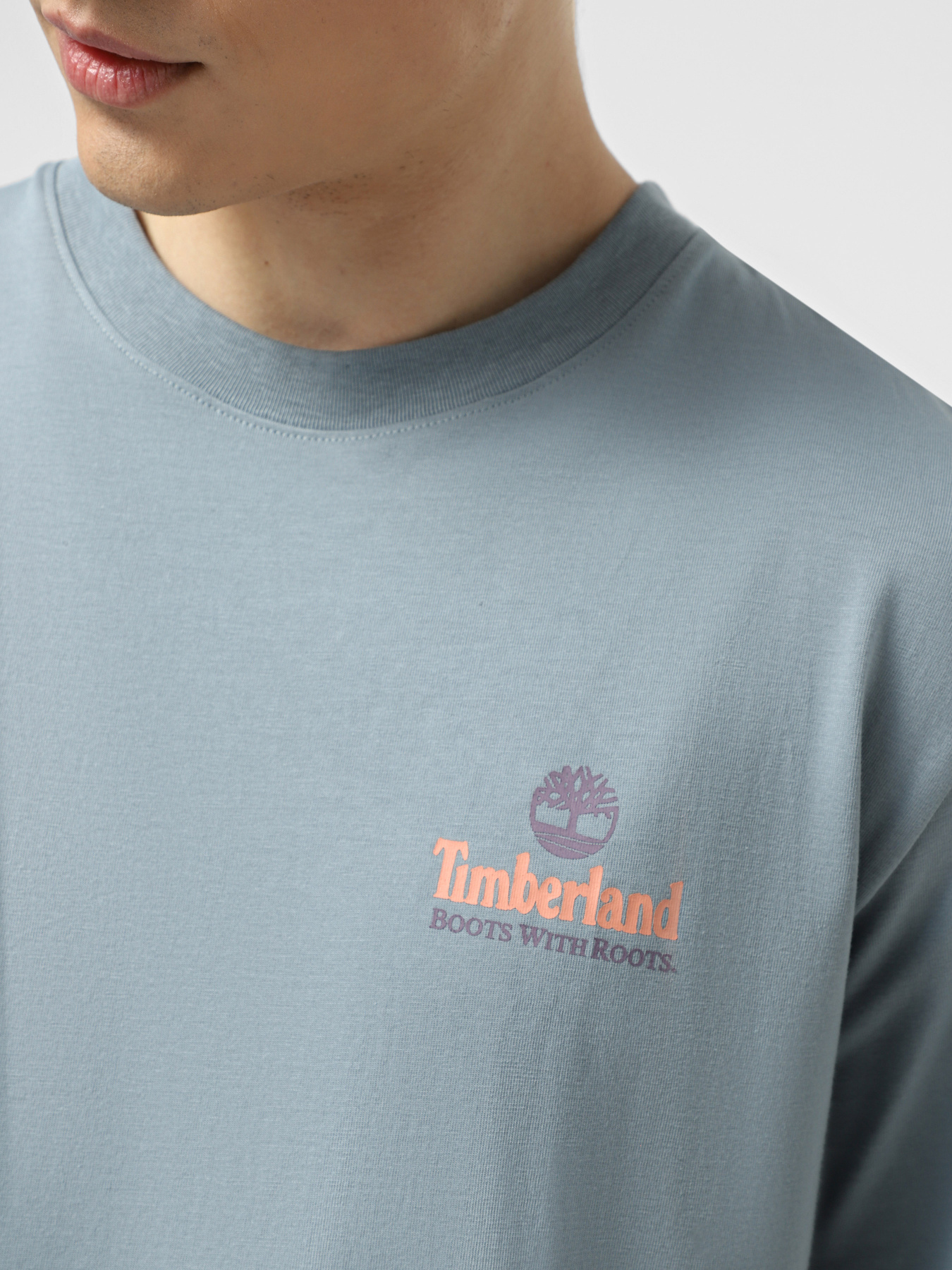 Футболки і поло Timberland Illustrated Tree Logo Back Graphic модель TB0A6DG5758 Фото