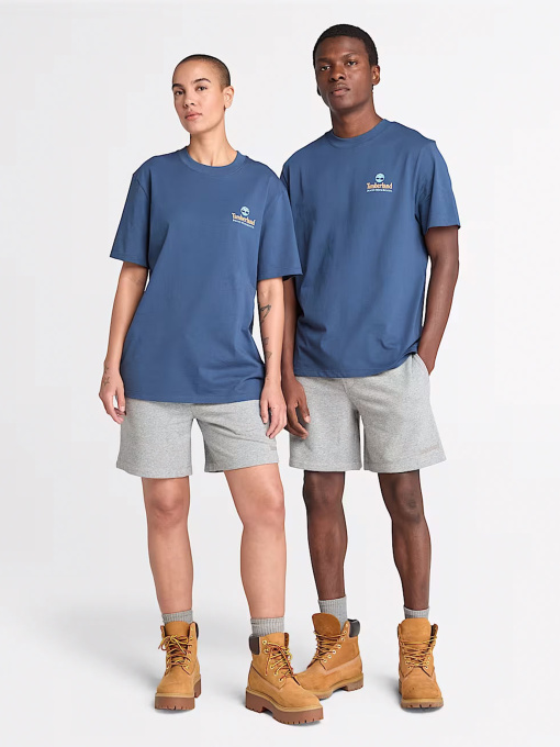 Футболки і поло Timberland Illustrated Tree Logo Back Graphic модель TB0A6DG5288 Фото
