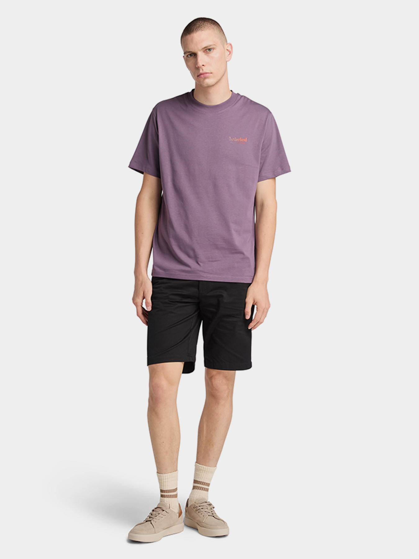 Футболки і поло Timberland Rugged Active Gear Back Graphic модель TB0A6DMAENX Фото