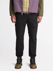 Брюки Timberland Nylon модель TB0A68QK001 Фото