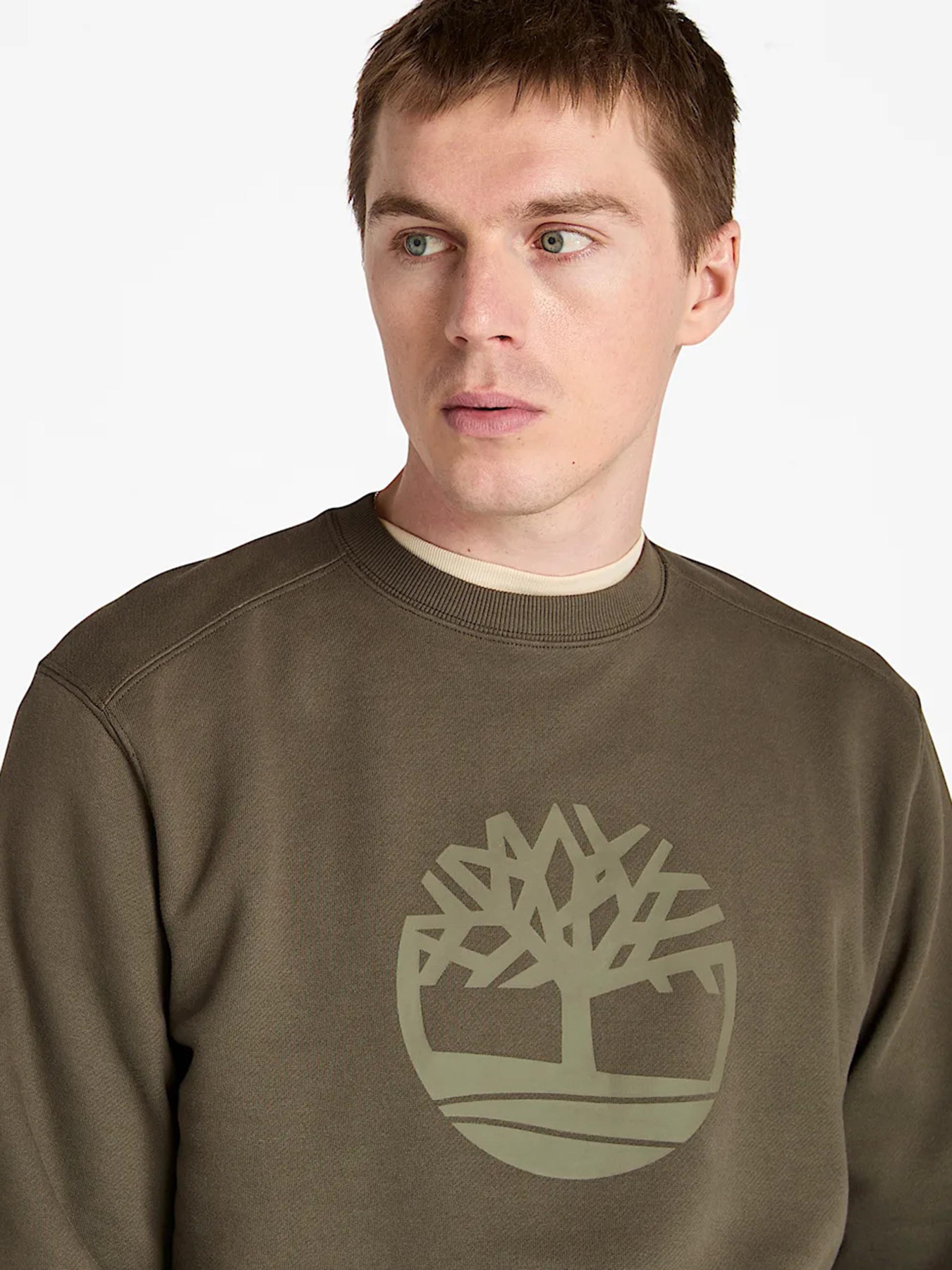 Худі та світшоти Timberland Kennebec River модель TB0A2BJ8A58 Худі та світшоти Timberland Kennebec River модель TB0A2BJ8A58 Фото