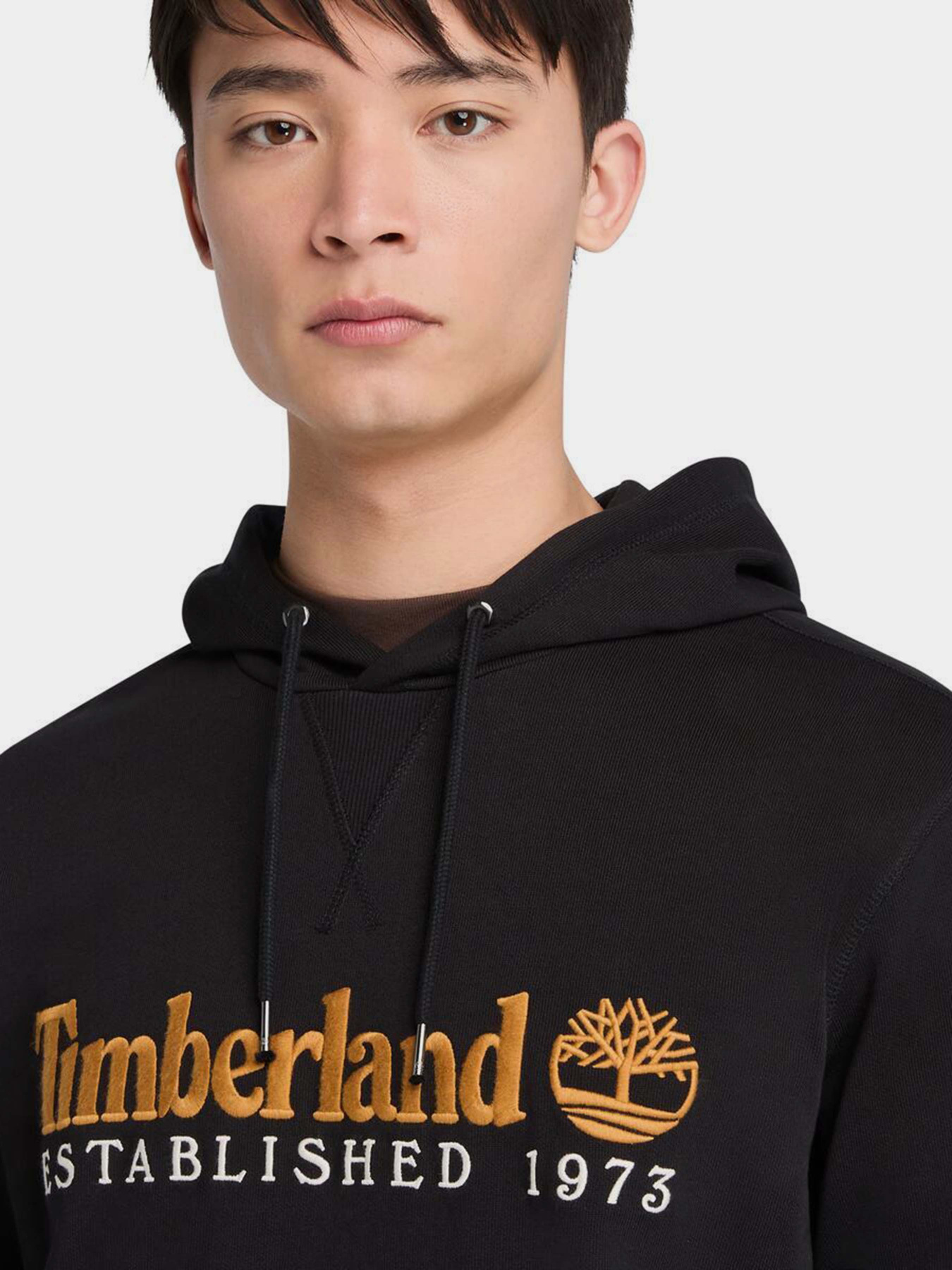 Худи и свитшоты Timberland Established 1973 модель TB0A5MX8001 Худи и свитшоты Timberland Established 1973 модель TB0A5MX8001 Фото