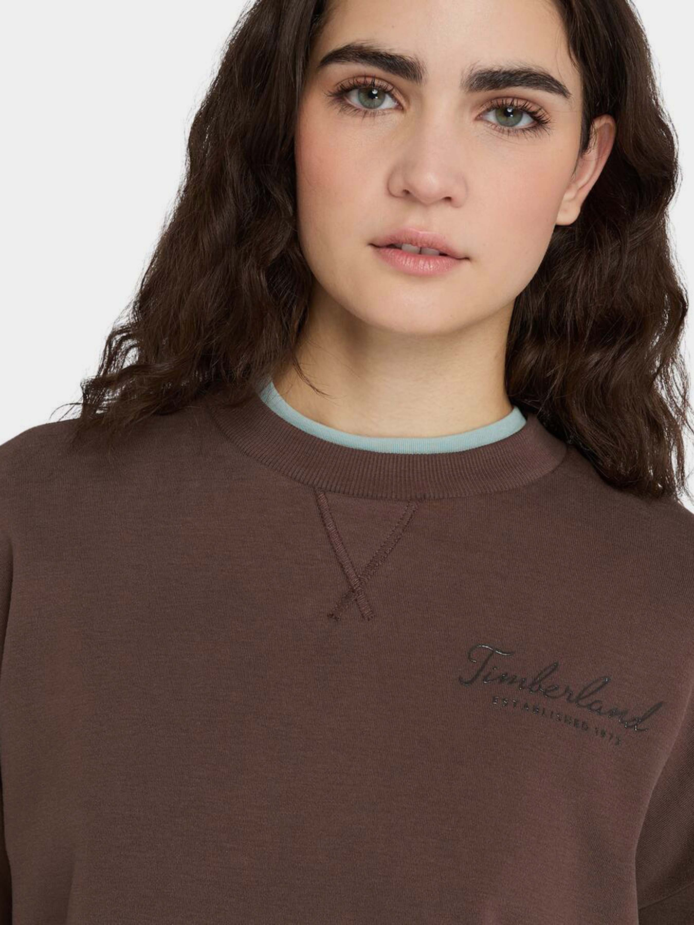 Худи и свитшоты Timberland Lush Comfort модель TB0A41ZB243 Худи и свитшоты Timberland Lush Comfort модель TB0A41ZB243 Фото