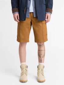 Шорти Timberland модель TB0A44XTEH2 Фото