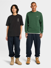 Брюки Timberland модель TB0A6KNQ433 Фото