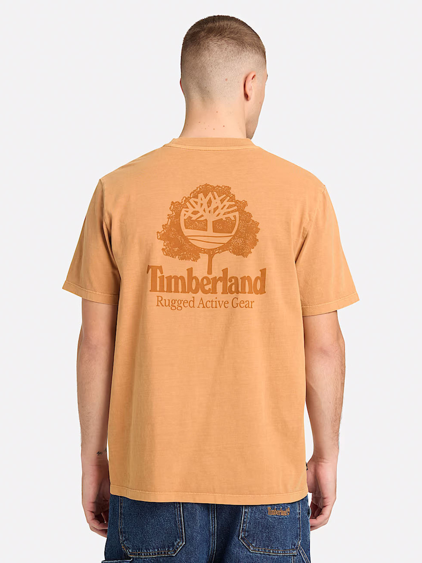 Футболки и поло Timberland модель TB0A5MU6P47 Футболки и поло Timberland модель TB0A5MU6P47 Фото