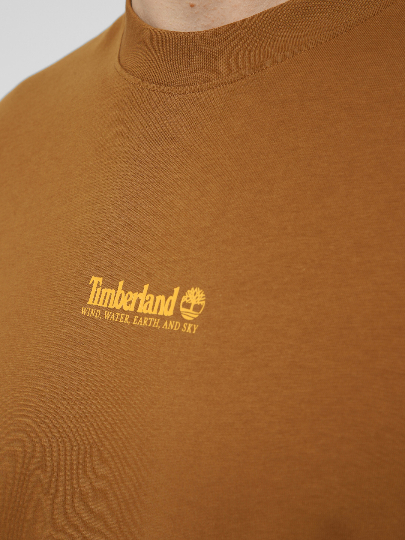 Футболки и поло Timberland модель TBC0YH35EH2 Футболки и поло Timberland модель TBC0YH35EH2 Фото
