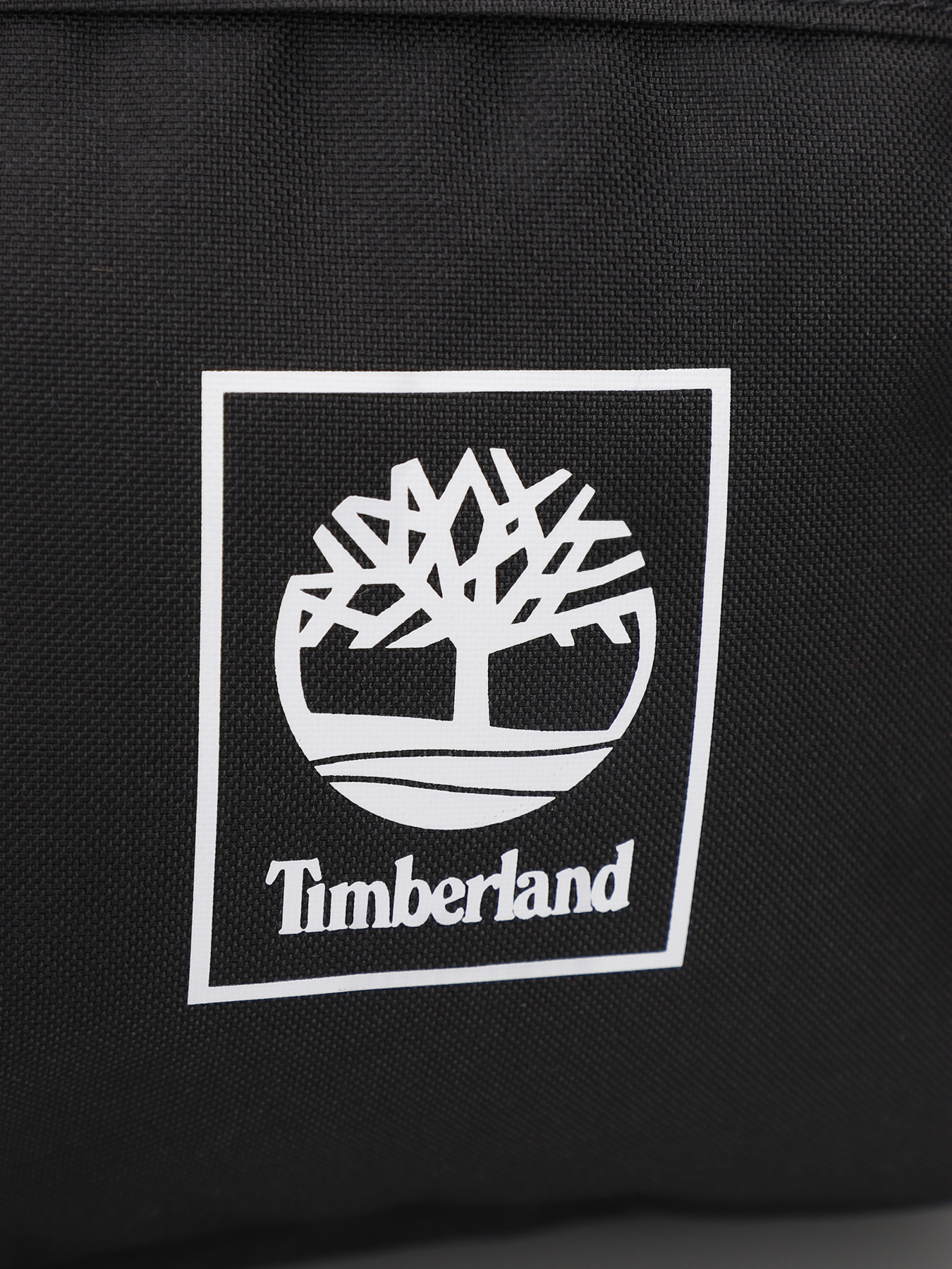 Рюкзаки Timberland Thayer модель TB0A6MK1001 Фото