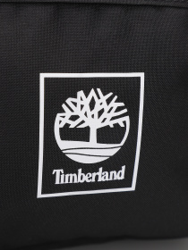 Рюкзаки Timberland Thayer модель TB0A6MK1001 Фото