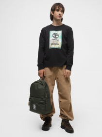 Рюкзаки Timberland Thayer модель TB0A6MK1U31 Фото