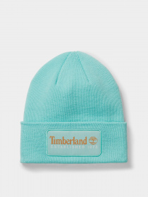 Шапки и кепки Timberland Established 1973 модель TB0A2PTDEB9 Фото