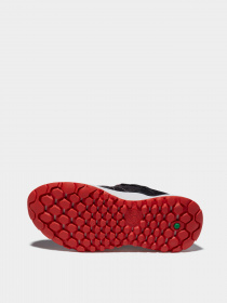 Кросівки Timberland Solar Wave модель TB0A2CYK015 Фото