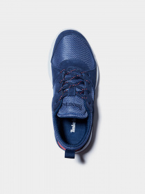 Кросівки Timberland Boroughs Project L/F Ox модель TB0A24UZ410 Фото