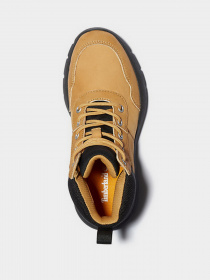 Черевики та чоботи Timberland Boroughs Project модель TB0A2DHC231 Фото