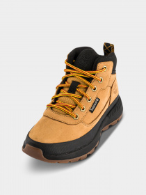Ботинки и сапоги Timberland Field Trekker Hiker модель TB0A2FES231 Фото