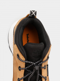 Кроссовки Timberland Lightweight Field Trekker Hiker модель TB0A2G3U231 Фото