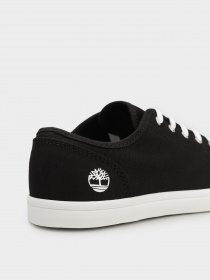 Кеди Timberland Skape Park модель TB0A2KCT015 Фото