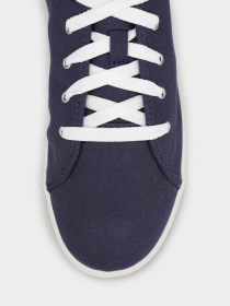 Кеди Timberland Skape Park модель TB0A2KG7019 Фото