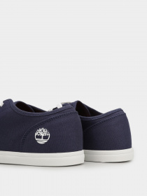 Кеди Timberland Skape Park модель TB0A2KG7019 Фото