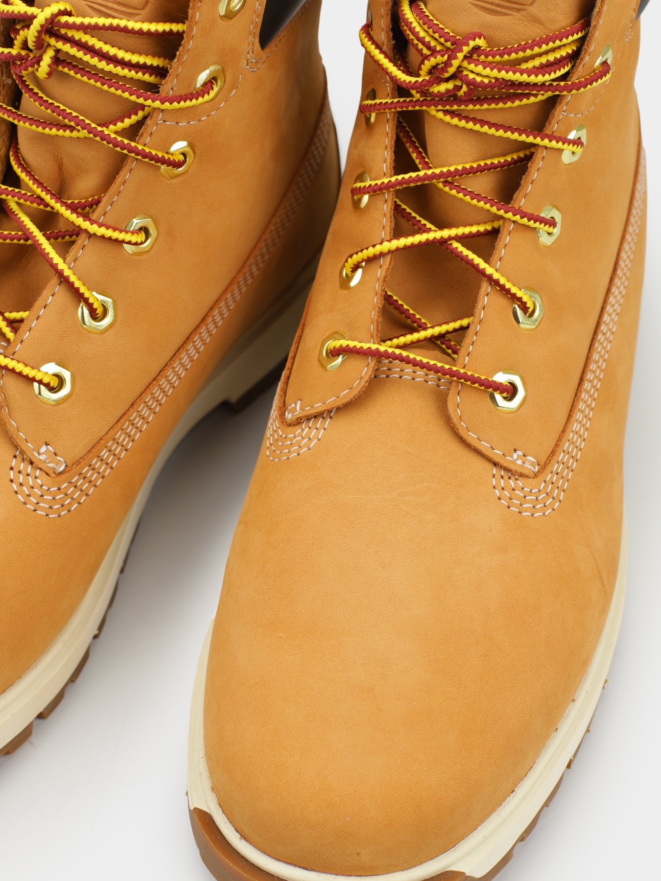 Черевики та чоботи Timberland TREE VAULT 6-INCH модель TB0A5SRH231 Фото