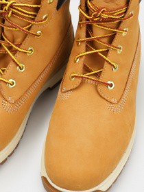 Черевики та чоботи Timberland TREE VAULT 6-INCH модель TB0A5SRH231 Фото
