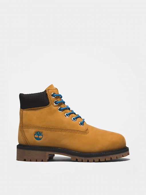 Ботинки и сапоги Timberland Premium 6 модель TB0A5T51231 Фото