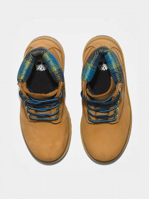 Черевики та чоботи Timberland Premium 6 модель TB0A5TD5231 Фото