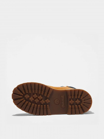 Черевики та чоботи Timberland Premium 6 модель TB0A5TD5231 Фото