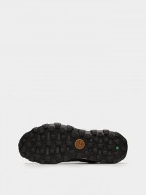 Кроссовки Timberland Trail Trekker Low GTX модель TB0A65MG019 Фото
