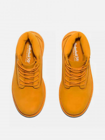 Черевики та чоботи Timberland Premium 6-Inch Waterproof модель TB0A64KD804 Фото