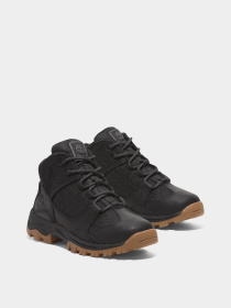 Ботинки и сапоги Timberland Mt. Maddsen Mid Lace Hiker модель TB0A6B9TW02 Фото