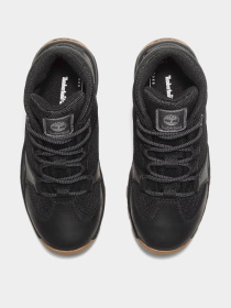 Ботинки и сапоги Timberland Mt. Maddsen Mid Lace Hiker модель TB0A6B9TW02 Фото