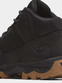 Ботинки и сапоги Timberland Mt. Maddsen Mid Lace Hiker модель TB0A6B9TW02 Фото