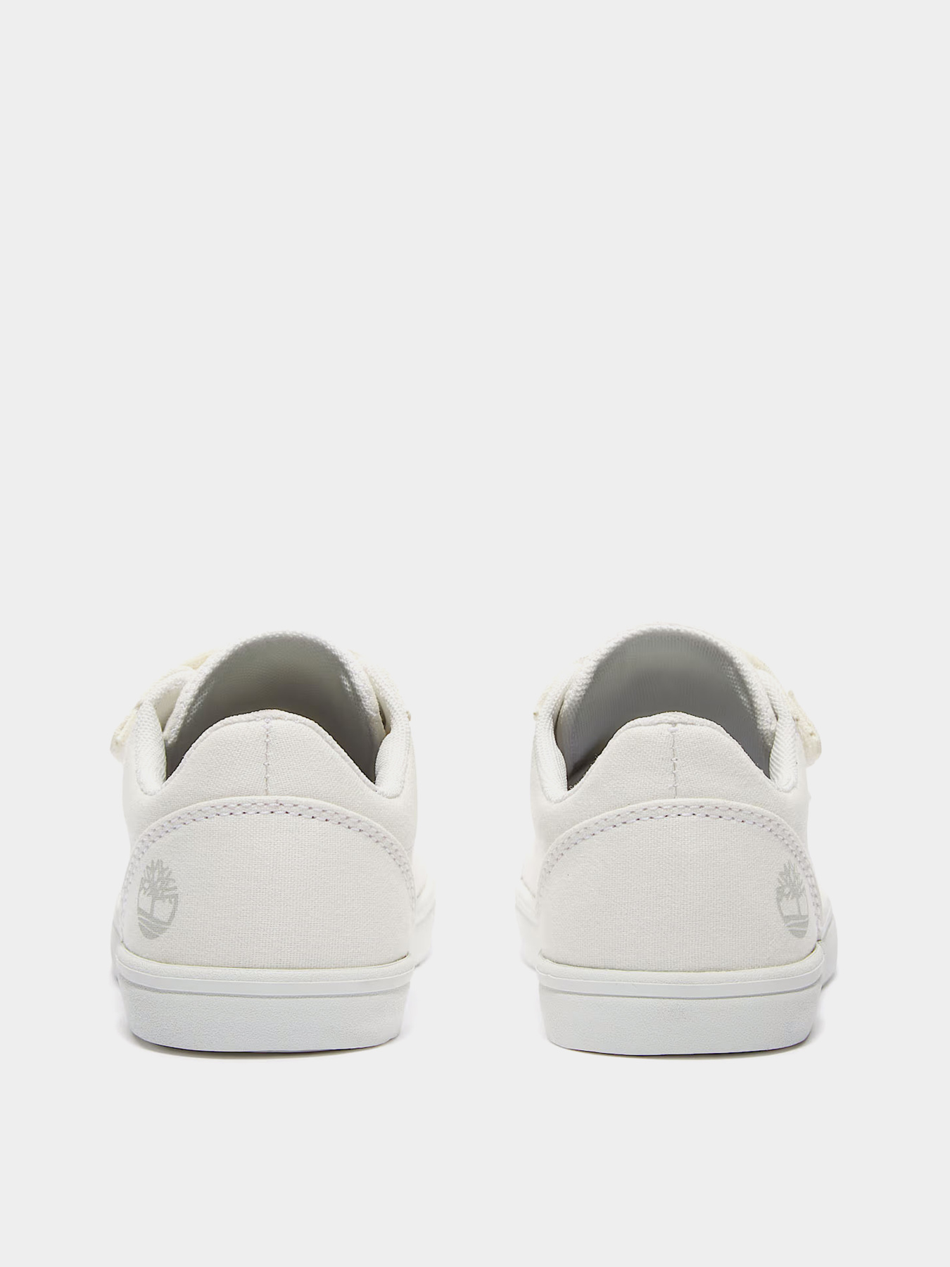 Кеди Timberland Stone Jump модель TB0A6C1JETW Фото