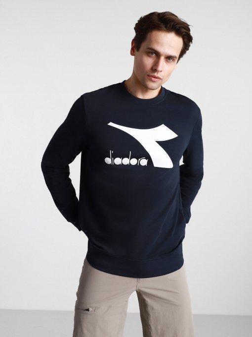 Худі та світшоти DIADORA CREW LOGO CHROMIA модель 102.176453.60063 Фото
