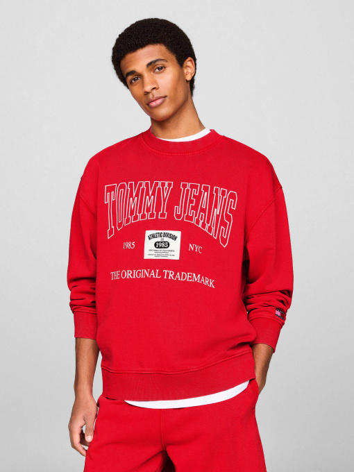 Худи и свитшоты Tommy Jeans модель DM0DM19219-XNL Фото