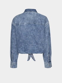Рубашки Tommy Jeans модель DW0DW18868-1A4 Фото