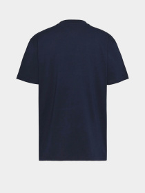 Футболки и поло Tommy Jeans модель DM0DM18658-C1G Фото