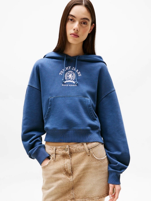 Худи и свитшоты Tommy Jeans модель DW0DW20311-C1G Фото