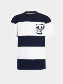 Футболки і поло Tommy Jeans модель DM0DM18674-C1G Фото