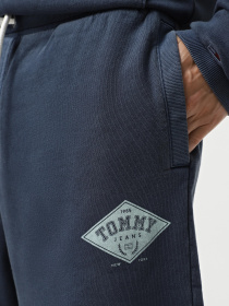 Шорти Tommy Jeans модель DM0DM20936-C1G Фото