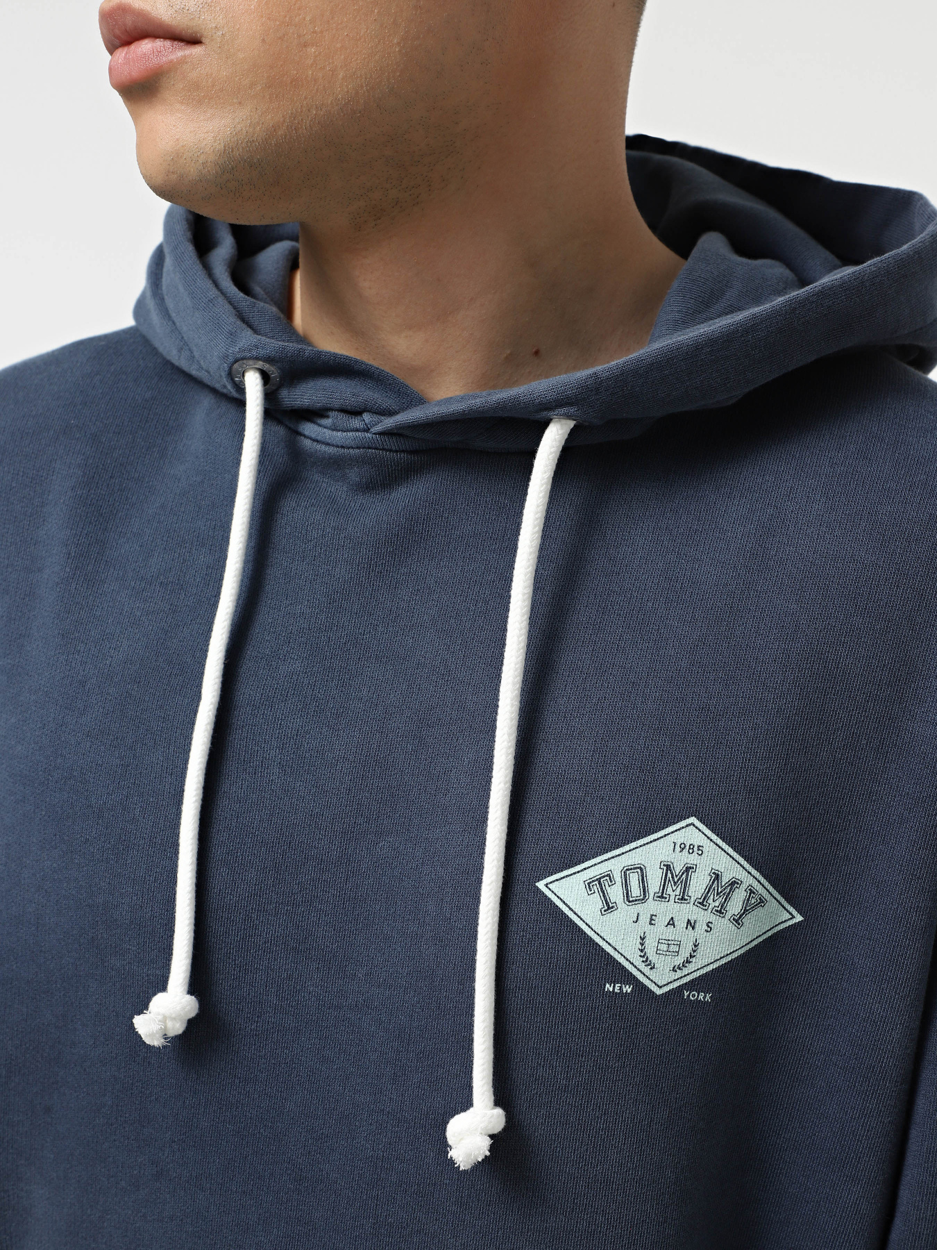 Худі та світшоти Tommy Jeans модель DM0DM20840-C1G Фото