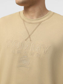 Футболки і поло Tommy Jeans модель DM0DM20805-ACT Фото