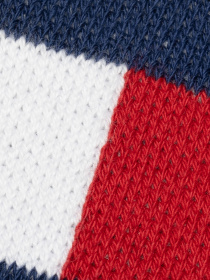 Шкарпетки та гольфи Tommy Hilfiger Flag Socks модель 481985001322 Фото