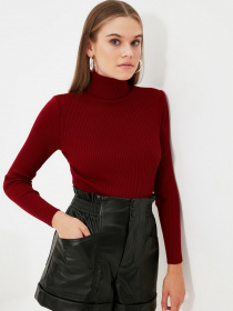 Свитры и кардиганы Trendyol модель TWOAW21KZ1279/Bordo Фото